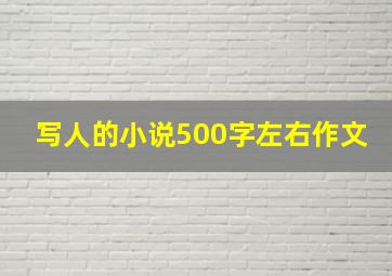 写人的小说500字左右作文