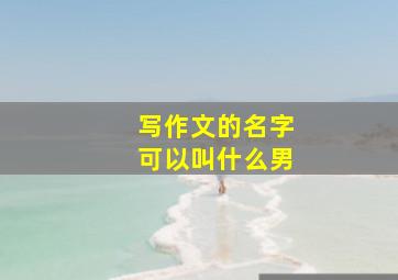 写作文的名字可以叫什么男