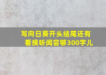 写向日葵开头结尾还有看摸听闻尝够300字儿