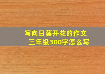 写向日葵开花的作文三年级300字怎么写