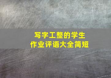 写字工整的学生作业评语大全简短