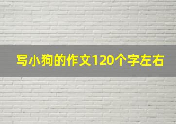 写小狗的作文120个字左右