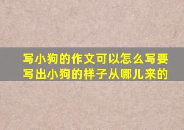 写小狗的作文可以怎么写要写出小狗的样子从哪儿来的