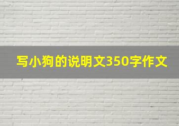 写小狗的说明文350字作文