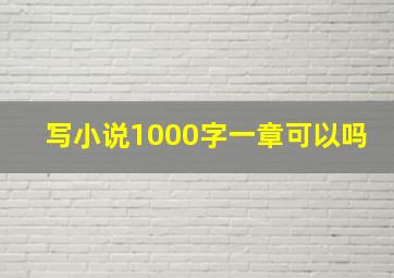 写小说1000字一章可以吗