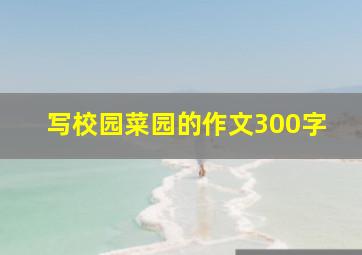 写校园菜园的作文300字