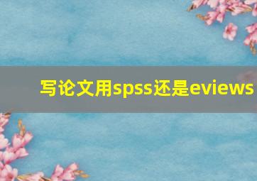 写论文用spss还是eviews