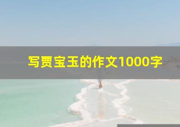 写贾宝玉的作文1000字