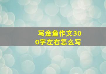 写金鱼作文300字左右怎么写