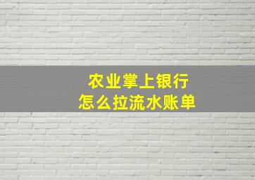 农业掌上银行怎么拉流水账单