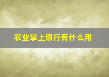 农业掌上银行有什么用