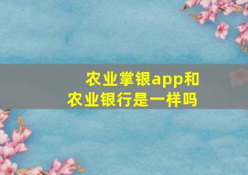 农业掌银app和农业银行是一样吗