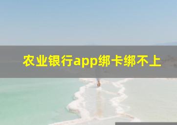 农业银行app绑卡绑不上