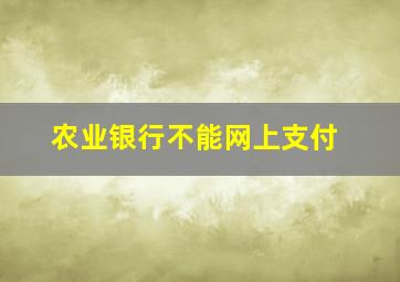 农业银行不能网上支付