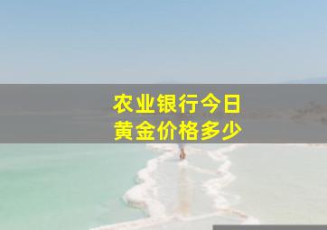 农业银行今日黄金价格多少