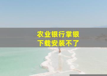 农业银行掌银下载安装不了