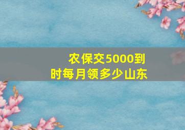 农保交5000到时每月领多少山东