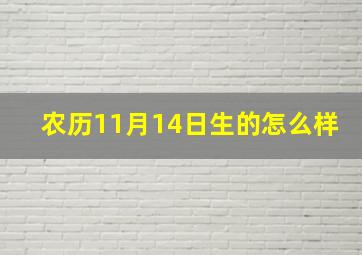 农历11月14日生的怎么样