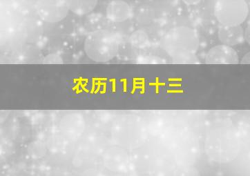 农历11月十三