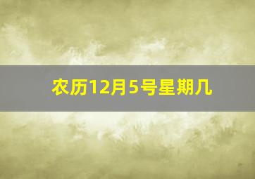 农历12月5号星期几