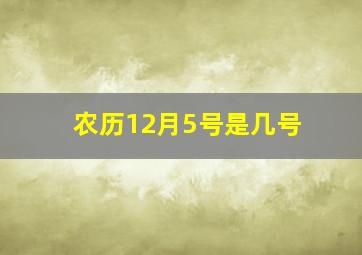 农历12月5号是几号