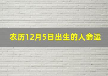 农历12月5日出生的人命运