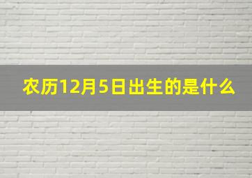 农历12月5日出生的是什么