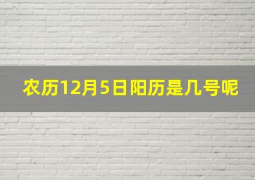 农历12月5日阳历是几号呢