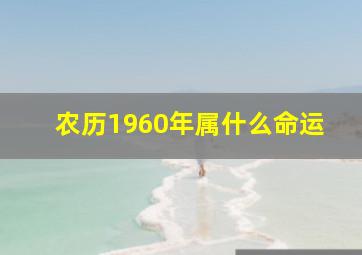 农历1960年属什么命运