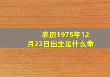 农历1975年12月22日出生是什么命