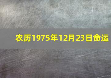 农历1975年12月23日命运