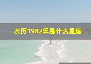 农历1982年是什么星座