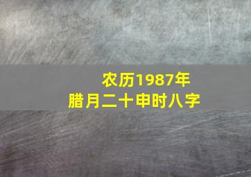 农历1987年腊月二十申时八字