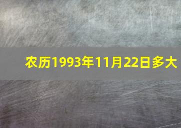 农历1993年11月22日多大