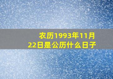 农历1993年11月22日是公历什么日子