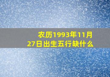 农历1993年11月27日出生五行缺什么