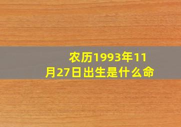 农历1993年11月27日出生是什么命