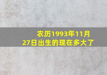 农历1993年11月27日出生的现在多大了