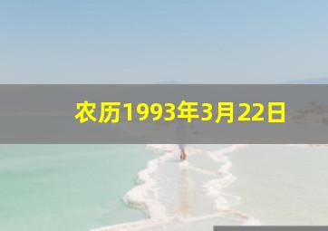 农历1993年3月22日