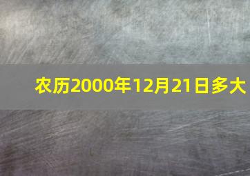 农历2000年12月21日多大