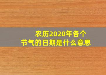 农历2020年各个节气的日期是什么意思