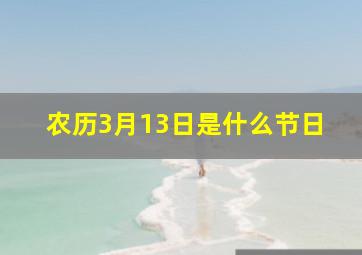 农历3月13日是什么节日