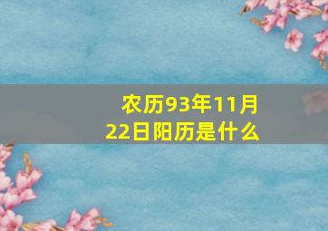 农历93年11月22日阳历是什么