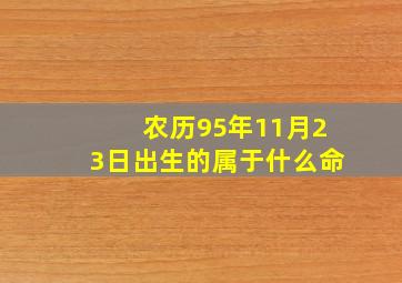 农历95年11月23日出生的属于什么命