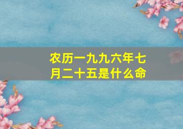 农历一九九六年七月二十五是什么命