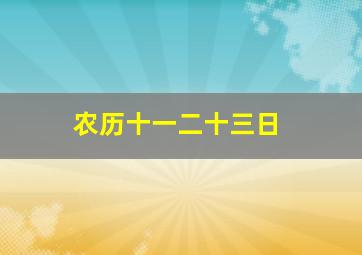 农历十一二十三日