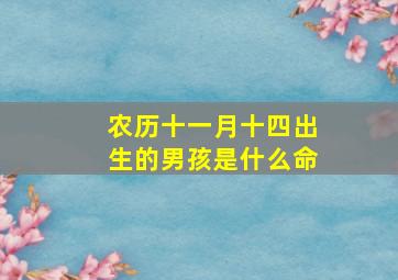 农历十一月十四出生的男孩是什么命