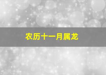 农历十一月属龙