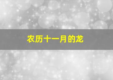 农历十一月的龙