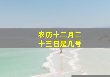 农历十二月二十三日是几号